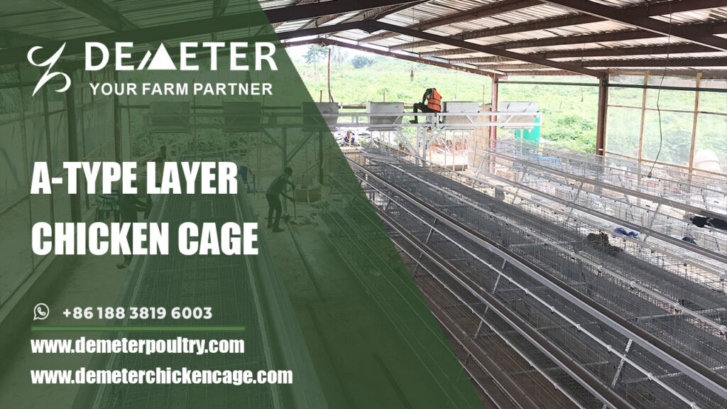 A-TYPE LAYER BATTERY CHICKEN CAGE SYSTEM POULTRY CAGE SYSTEM