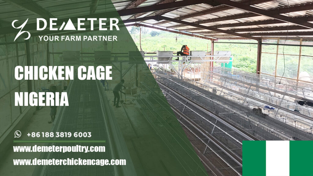 Chicken Cage Nigeria Poultry Farm Cages Automated Layer Chicken Cage for Sale in Nigeria
