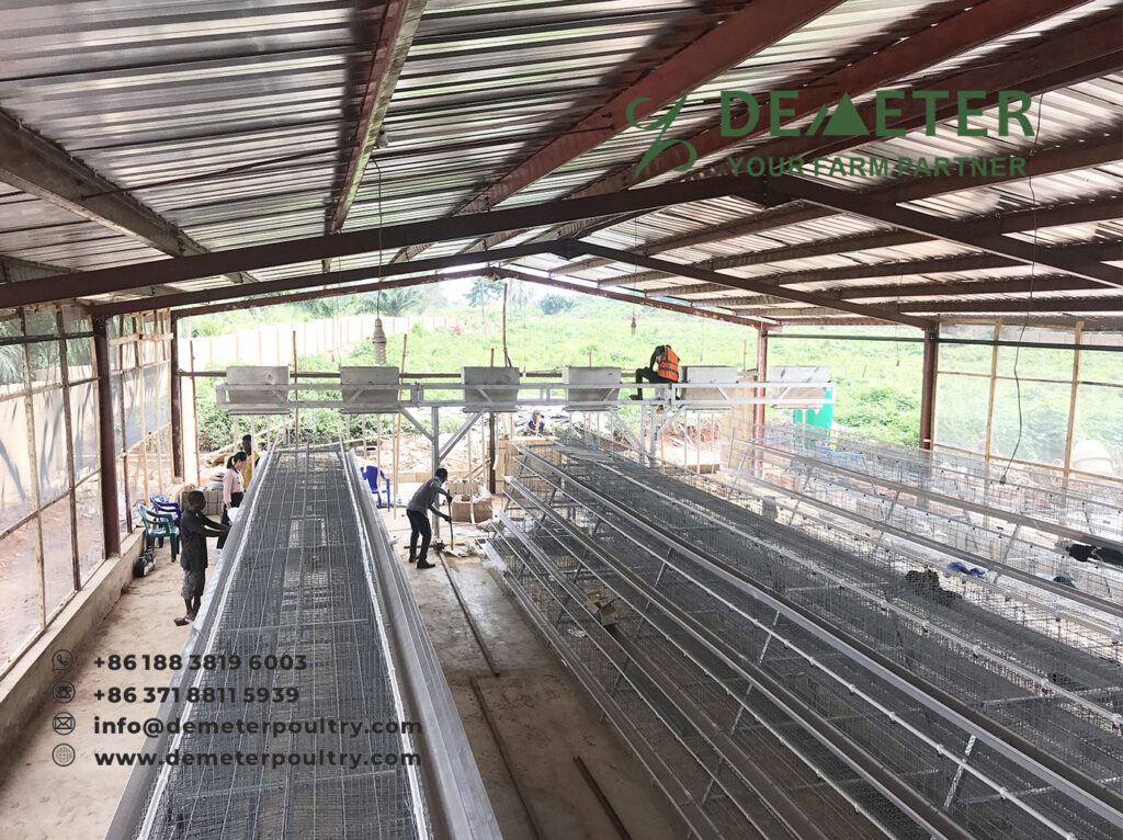 Chicken Cage Nigeria Poultry Farm Cages Automated Layer Chicken Cage for Sale in Nigeria