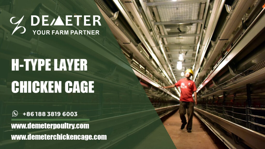 chicken cage, layer chicken cage, demeter africa chicken cage supplier, battery cage system, layer cage for sale in Africa
