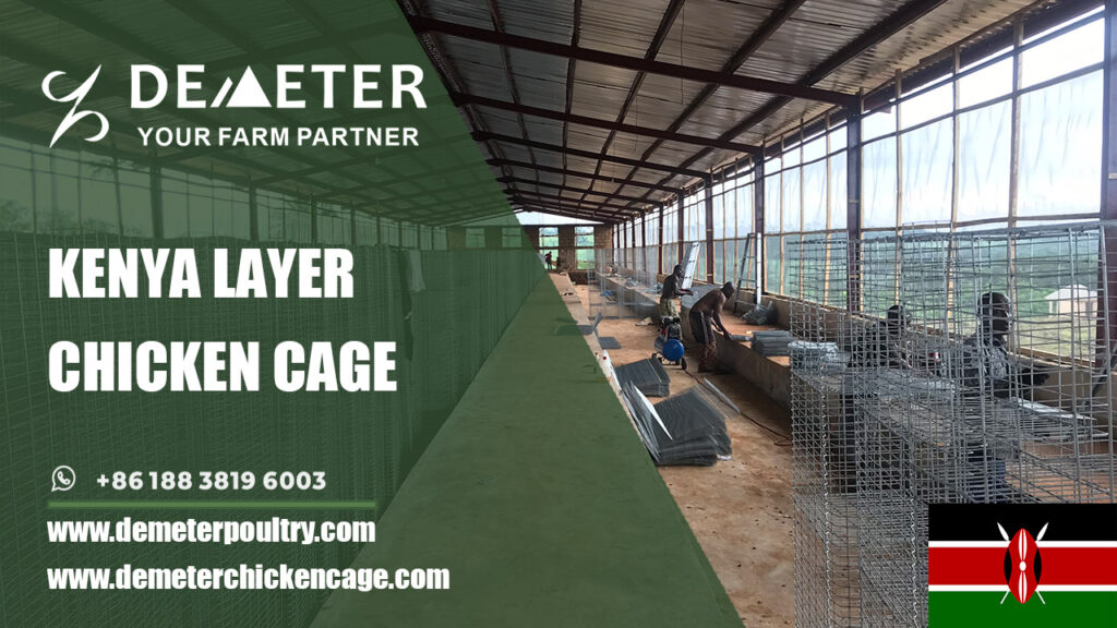 layer chicken battery cages for sale in Nairobi Kenya