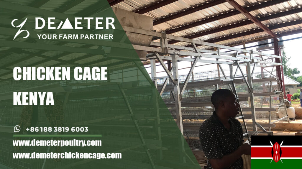 layer chicken battery cages for sale in Nairobi Kenya